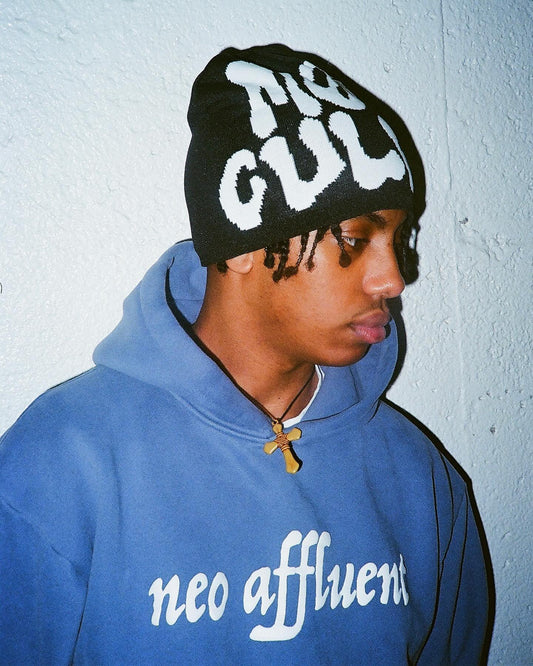 'MATTHEW 6:26' Hoodie (PROMOTIONAL)